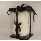 Rózsa Maci - Fehér 25 cm