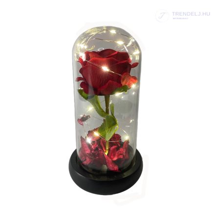  Piros örökrózsa üvegbúrában, 17 cm
