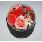 Örökrózsa box, fekete díszdobozban